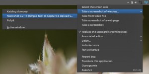 Best Free Screenshot and Screen Capture Software 2012